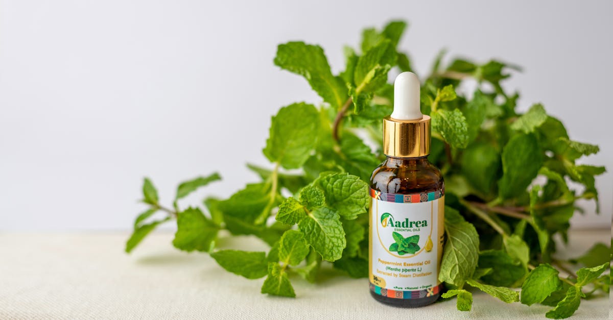 close up of a peppermint essential oil bottle surrounded by fresh mint leaves perfect for natural w